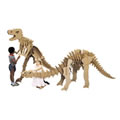 Tyrannosaurus Rex