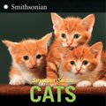 Cats - Paperback