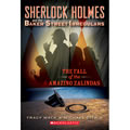 The Fall of the Amazing Zalindas - Paperback