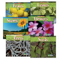 Spot the Difference: Plants Book Set (Set of 6)