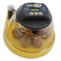 Automatic Egg Incubator