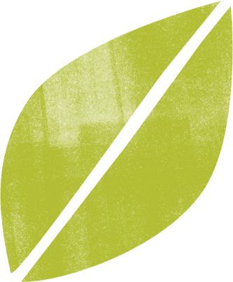 Green Bamboo Leaf