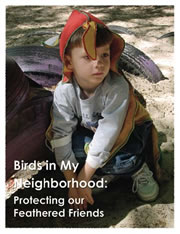 Birds in My Neighborhood
