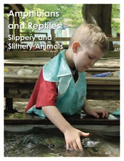 Amphibians and Reptiles