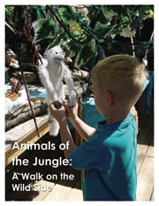 Animals of the Jungle