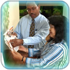 On-Site Consultation
