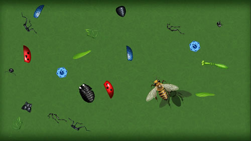 Insect Creator