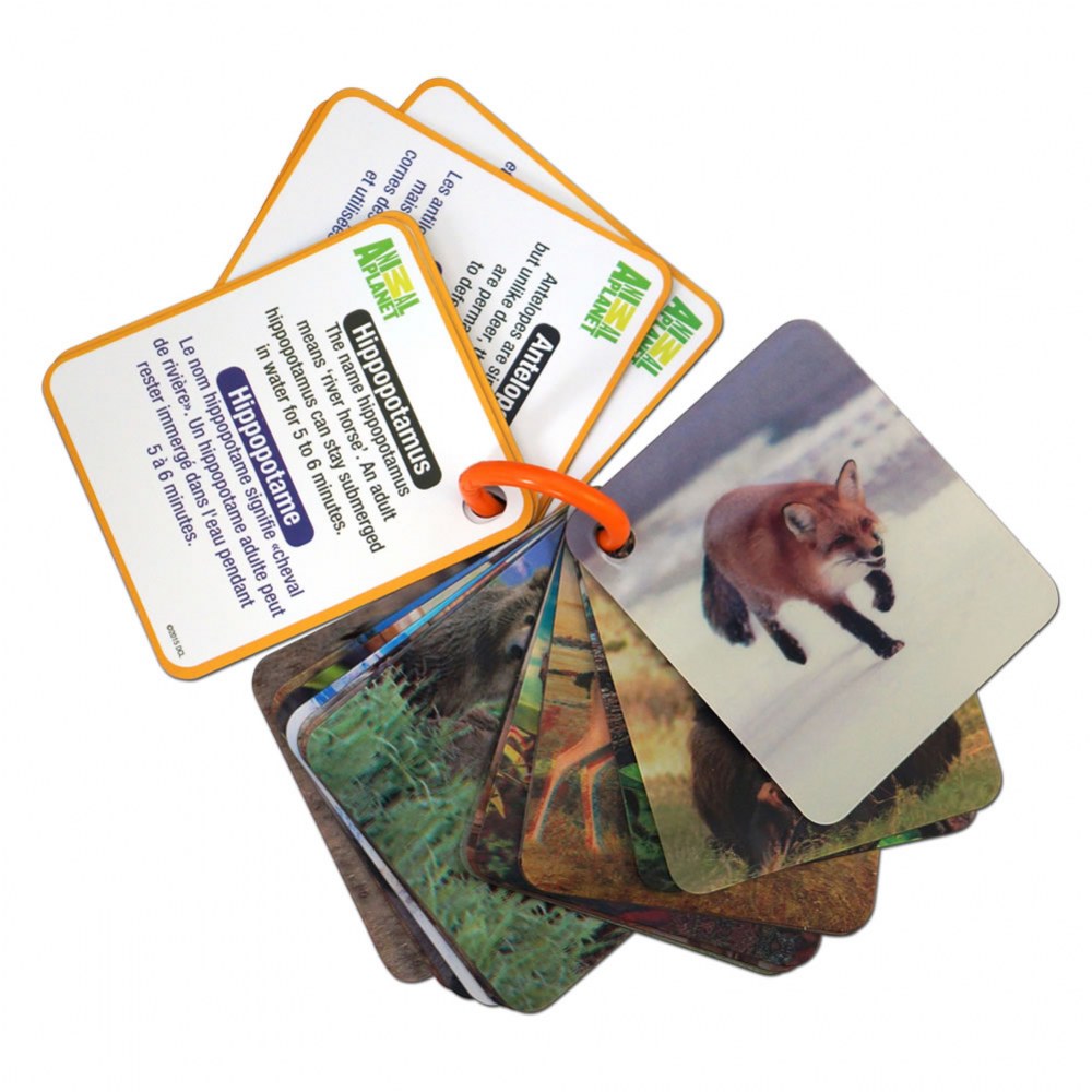 Animal Planet Wild Animals 3D Flash Cards - 20 Cards