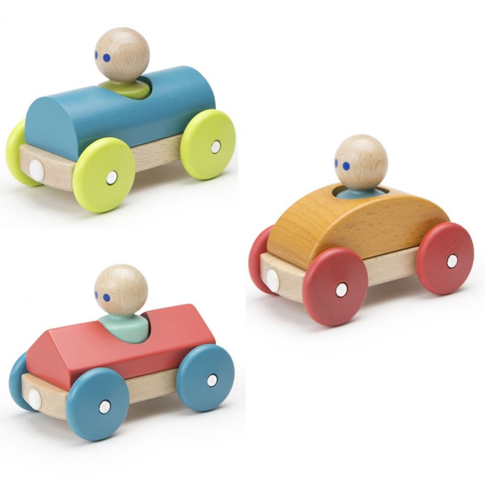 tegu magnetic shape train