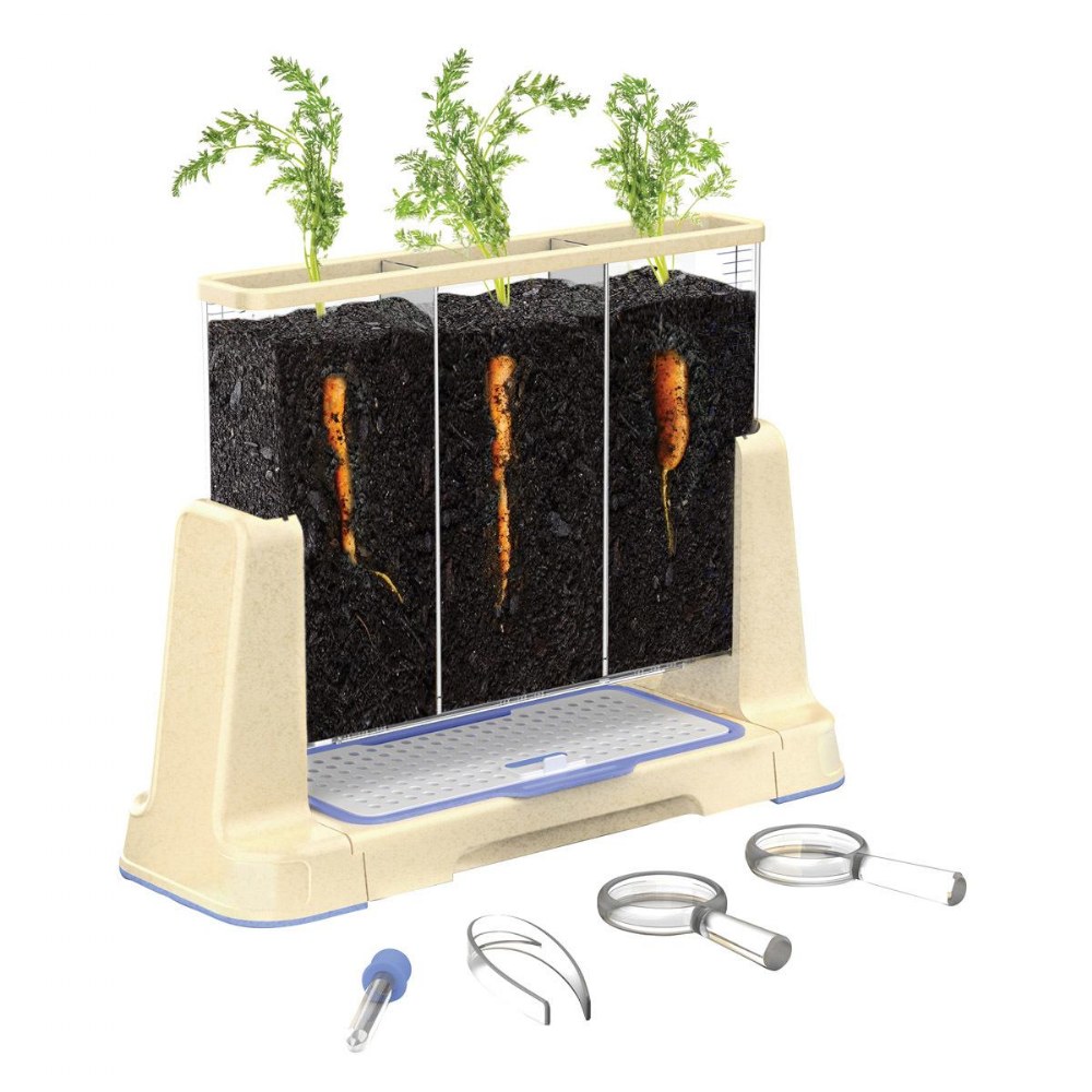 Explore and Discover 3 Section Root View Planter