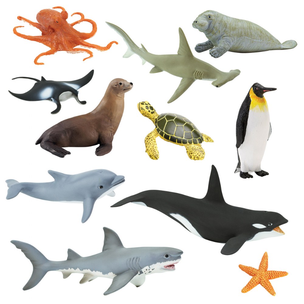 Animals of the Sea - Set of 11