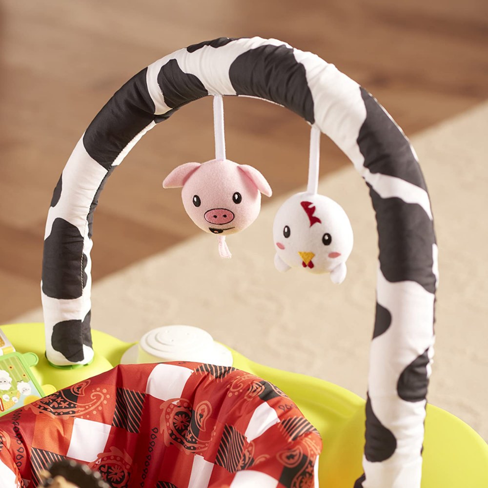 exersaucer playful pastures