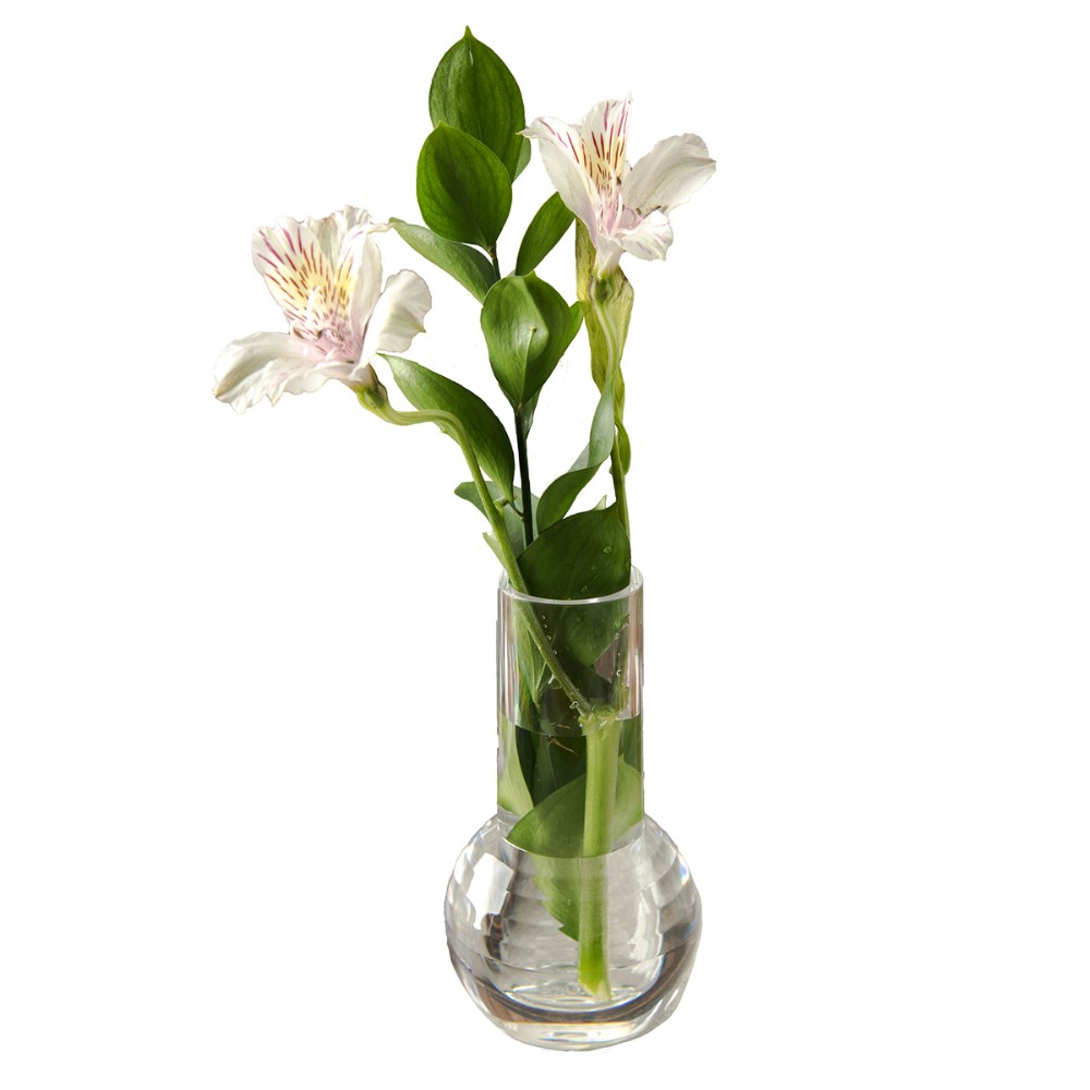 6" Clear Acrylic Bud Vase