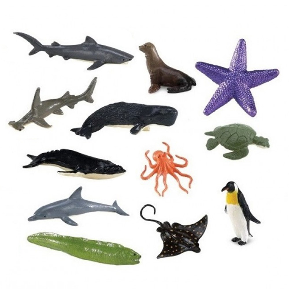 School Age Aquarium Kit