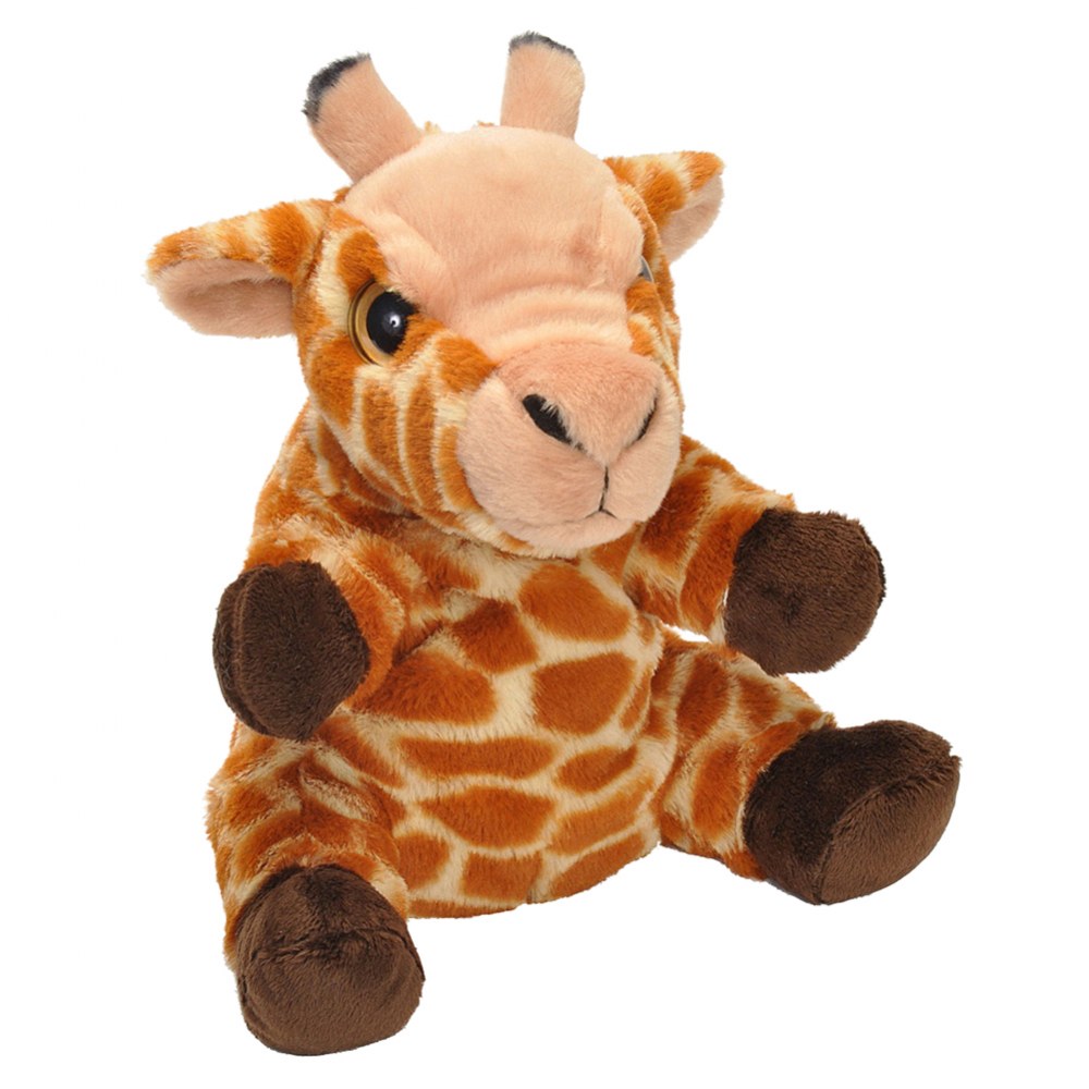 Animal Adventures for Little Ones