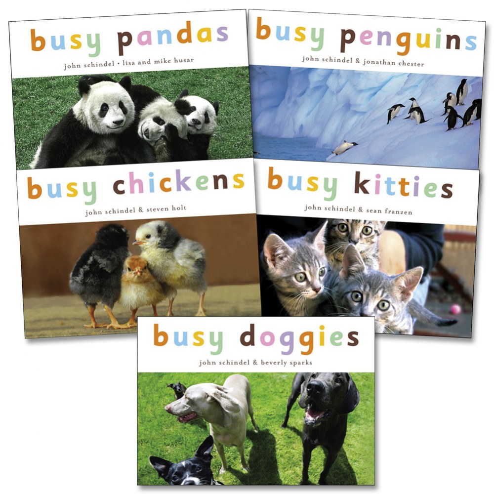 Busy Animals Board Books Set Of 5