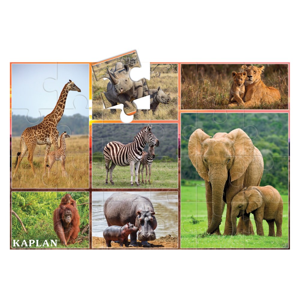 Wild Animals Mother and Baby Photo Real Floor Puzzle - 24 Pieces