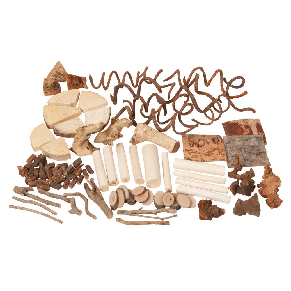 Natural Loose Parts Starter Kit