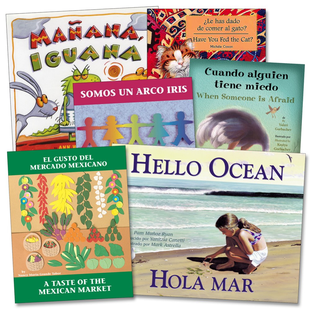 Bilingual Children's Paperback Books Set of 6