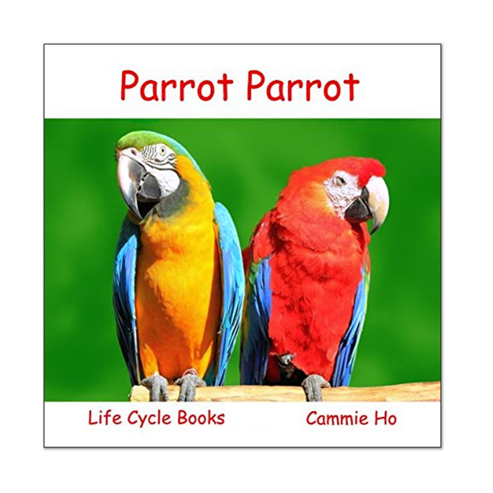 Parrot Parrot (Life Cycle Books) Paperback