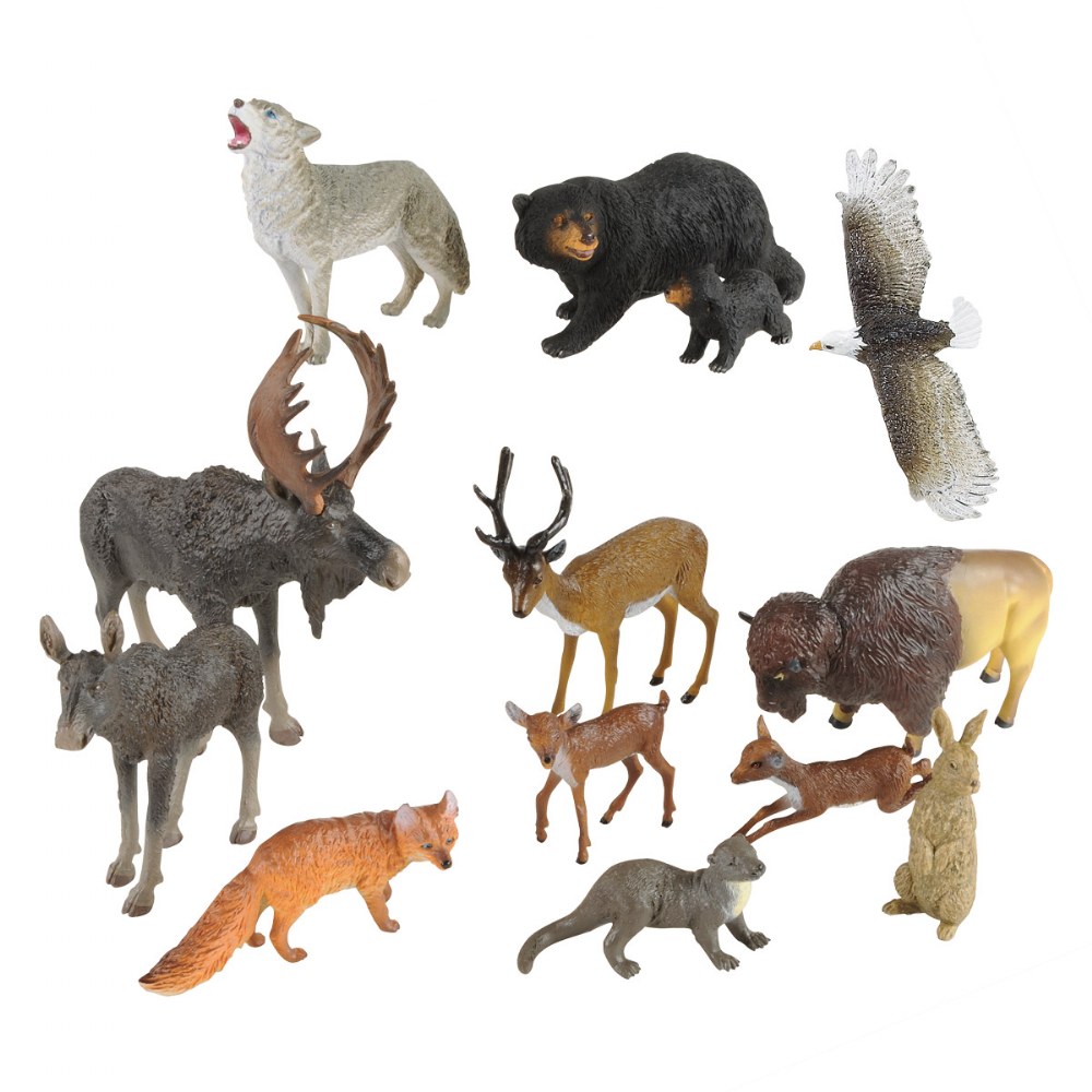 North American Wildlife - Set of 13