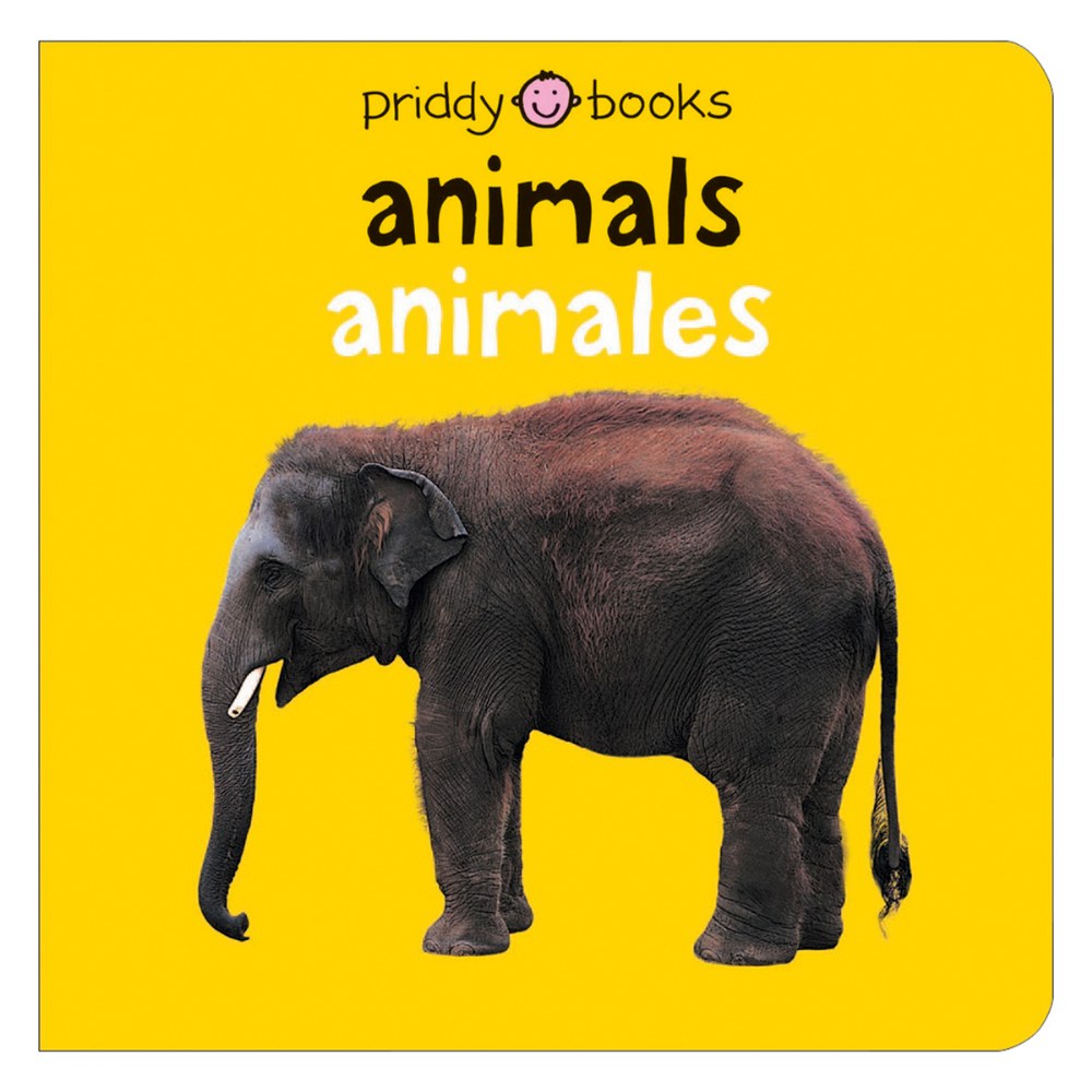 Bright Bilingual Board Books