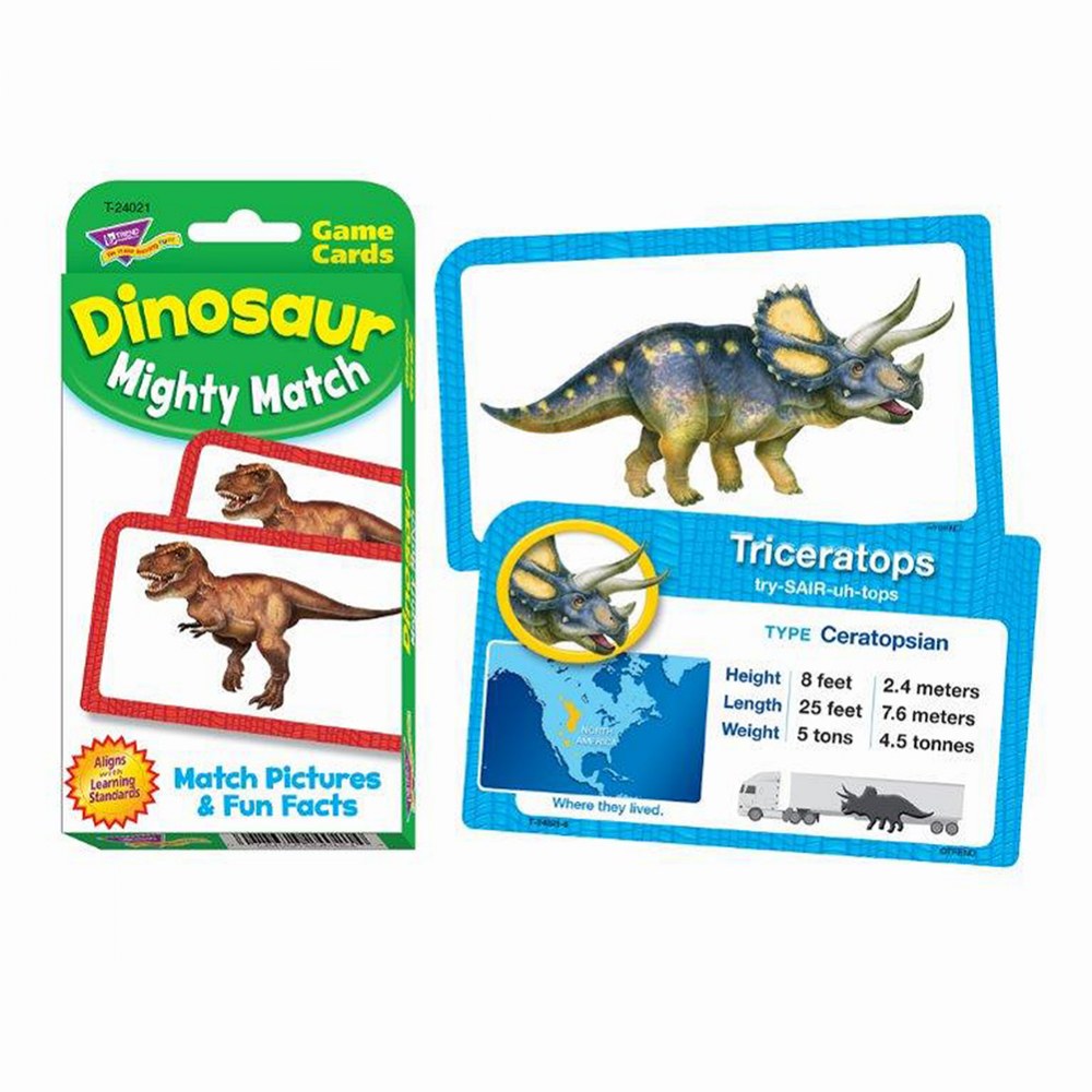 Types of Dinosaurs Matching Game