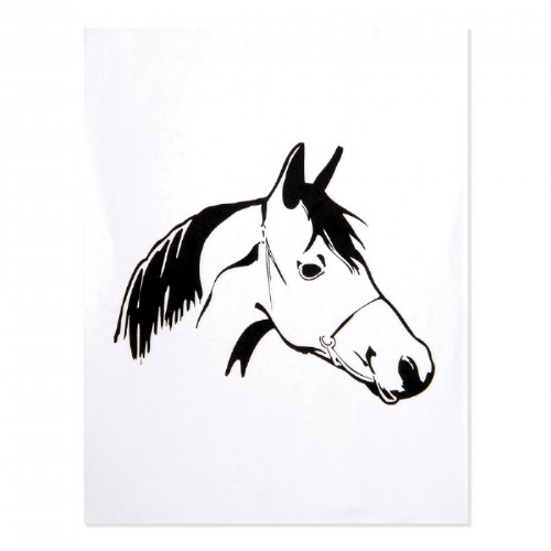 LAP&trade; Horse Illustration Pad