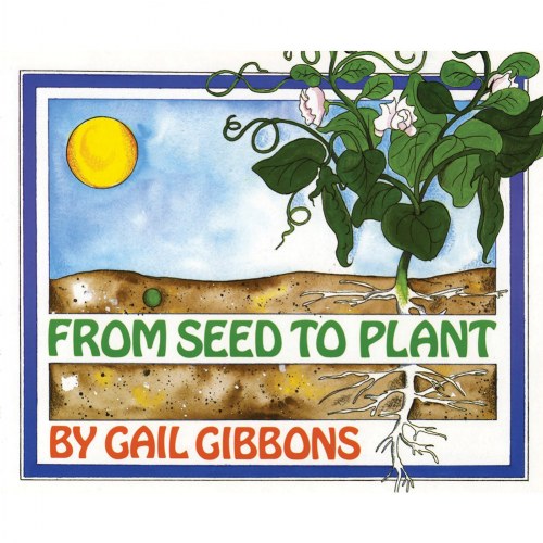 From Seed to Plant - Paperback