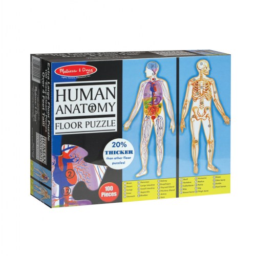 Human Body Anatomy 100 Piece Floor Puzzle