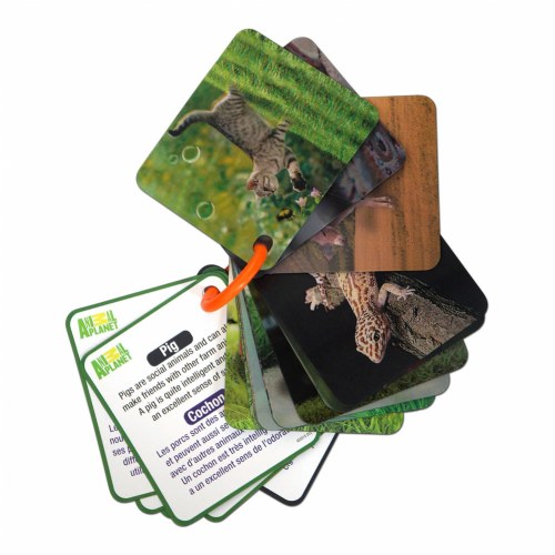 Animal Planet Pets & Farm Animals 3D Flash Cards - 20 Cards