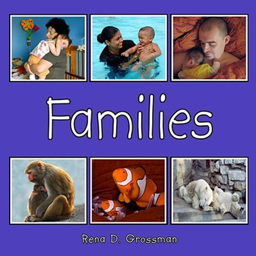 Families Board Book