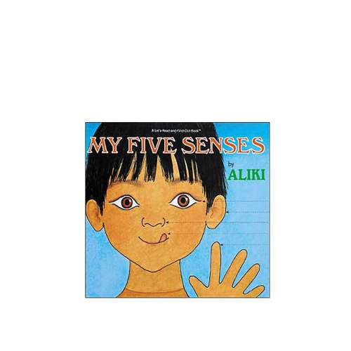 My Five Senses - Big Book