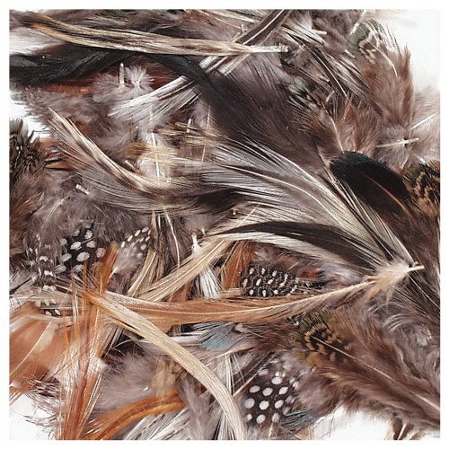 Natural Feathers - 3 oz.