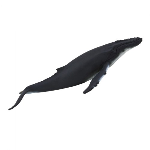 Humpback Whale Realistic Figure
