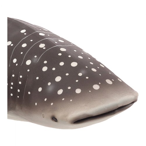 Whale Shark Realistic Figure