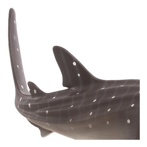 Whale Shark Realistic Figure