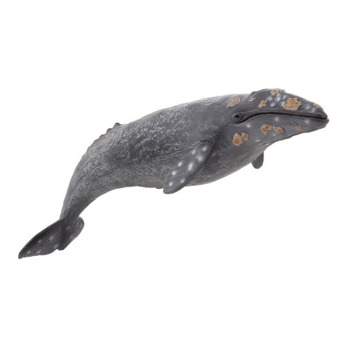 Grey Whale Realistic Figure