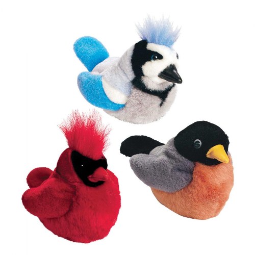 Backyard Birds - Set of 3