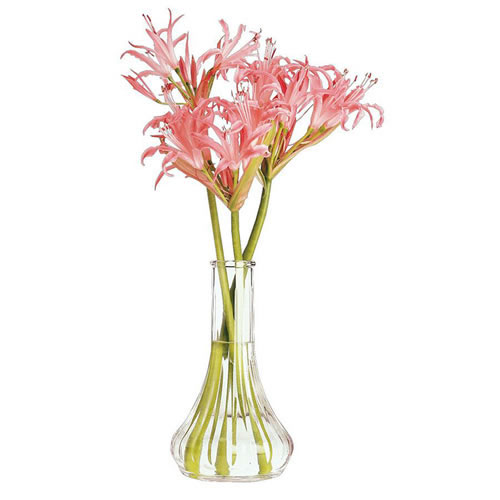 6" Clear Bud Vase - Set of 2