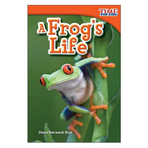 frog repot essay frog repot essay