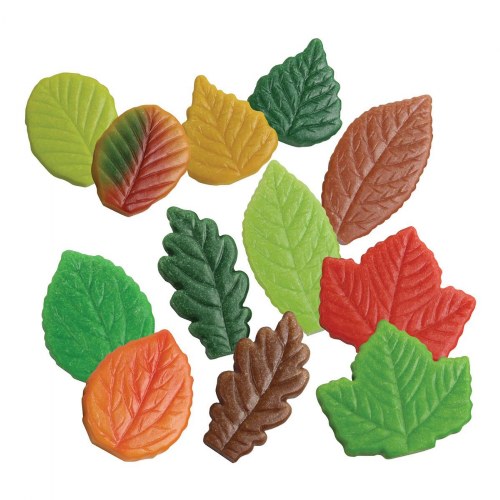 Sensory Play Stones: Leaves - 12 Pieces