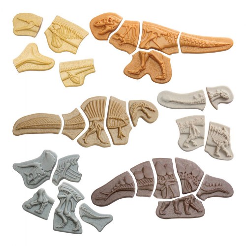 Dig & Discover Dinosaur Tactile Skeletons - Set of 6