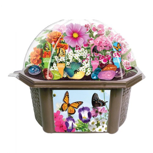Butterfly Garden Biosphere