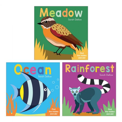 Now You See It Board Books - Set of 3