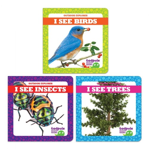 I See Board Books - Set of 3