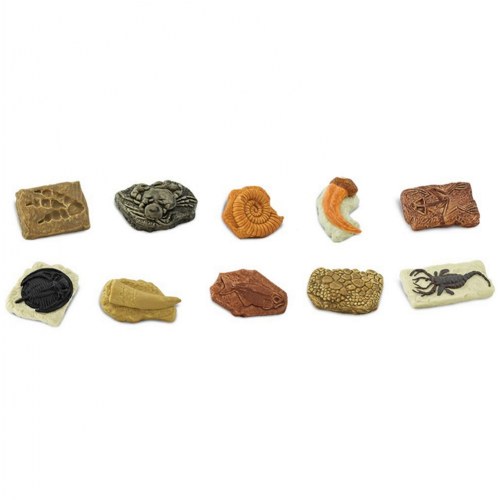 Ancient Fossils Minis - Set of 10