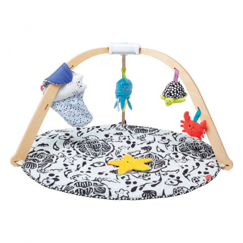 Ocean Easy-Fold Play Gym