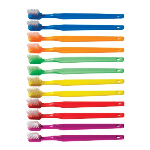 Toddler Toothbrushes - Set of 12