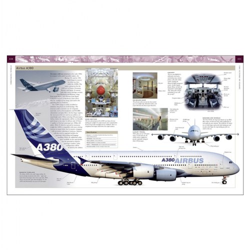 Flight: The Complete History of Aviation - Paperback